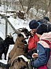 IMG-5563.jpg
