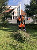 IMG_0866.jpg