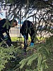 IMG_0873.jpg