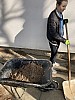 IMG_0884.jpg