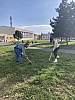 IMG_0887.jpg