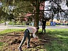 IMG_0891.jpg