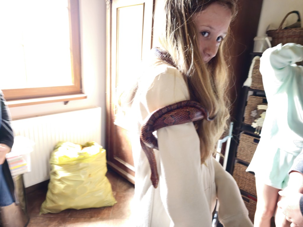 20230627_103715.jpg