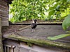 20230627_092334.jpg