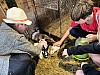20230627_093005.jpg