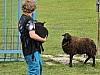 20230627_094320.jpg