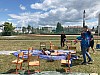 IMG_2251.jpg