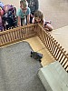 4A883D80-3469-4481-8D2B-65634BA1D3EB.jpg