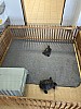 654CED6F-C708-4B6F-BE51-A2B6385B69D5.jpg