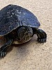 D002F276-3CB5-426F-8125-8F6B19F9C337.jpg
