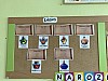 IMG_2275.jpg