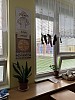 IMG_2279.jpg