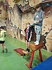 IMG_20231120_094739_020.jpg
