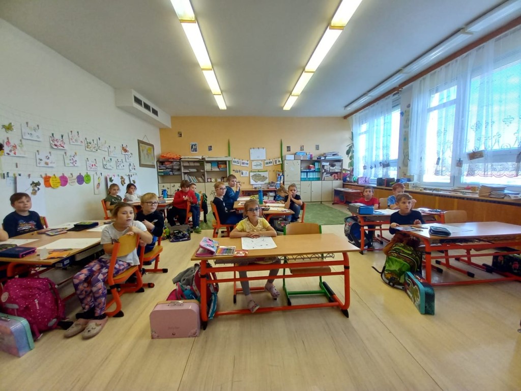 P5.jpg