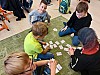 20231031_113806.jpg