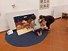20231103_110428.jpg