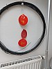 20231201_094253.jpg