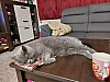 20231204_212006.jpg