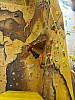 IMG_20231204_081655_023.jpg