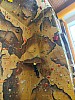 IMG_20231204_083440_732.jpg