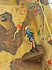 IMG_20231204_083746_658.jpg