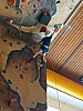 IMG_20231204_084221_453.jpg