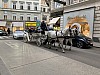 IMG_5769.jpg