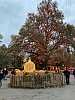 IMG_5806.jpg