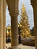 IMG_5823.jpg