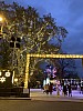 IMG_5827.jpg