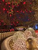 IMG_5834.jpg