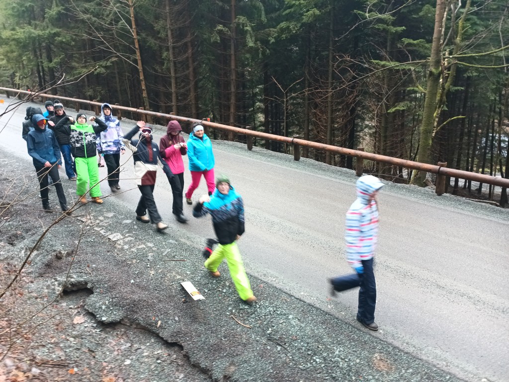 IMG_20240212_113704_235.jpg