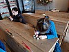 20240325_103410.jpg