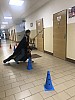 IMG_3736.jpg