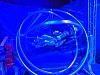 IMG-20240425-WA0026.jpg