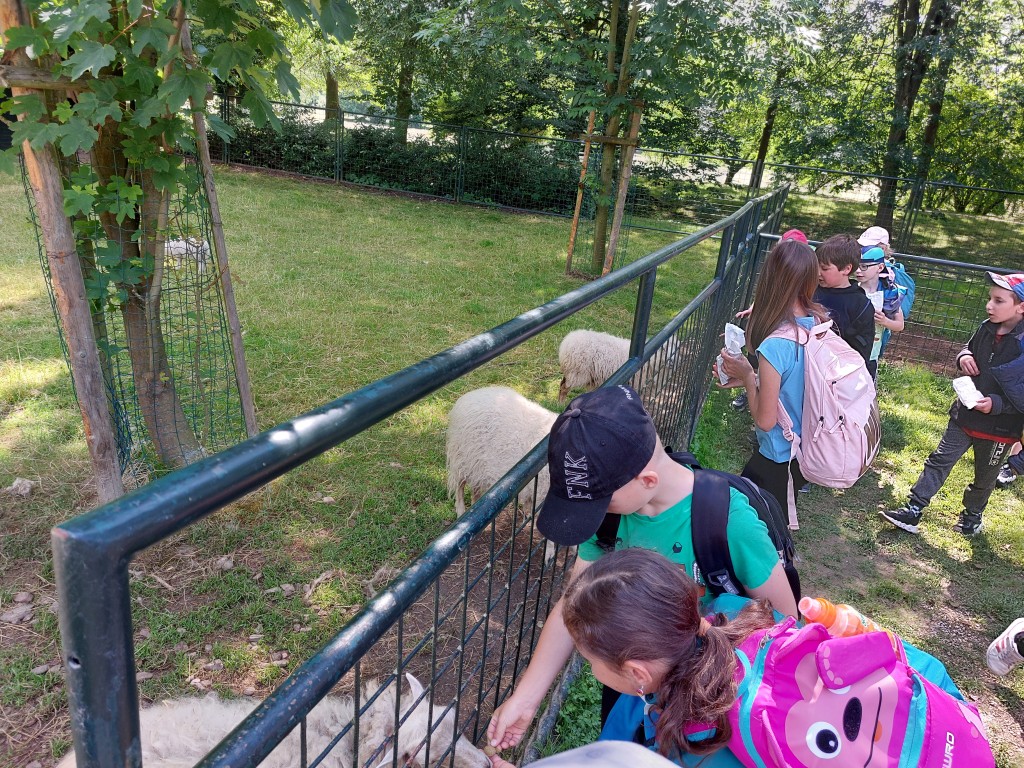 20240606_104119.jpg