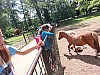 20240606_105145.jpg