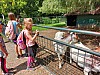20240606_111600.jpg