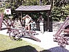 IMG-20240613-WA0013.jpg
