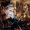 IMG_20240611_101618_198.jpg