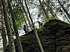 IMG_8314.jpg