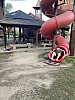 IMG_2055.jpg