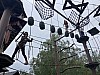 IMG_2093.jpg