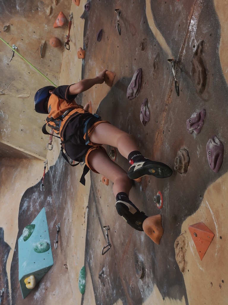 IMG20241125094433.jpg
