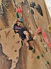 IMG20241125083931.jpg