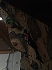 IMG20241125101141.jpg