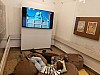 20241112_092435.jpg