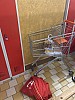 IMG_8361.jpg