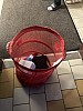 IMG_8372.jpg