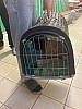 IMG_8380.jpg